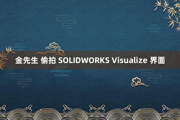 金先生 偷拍 SOLIDWORKS Visualize 界面