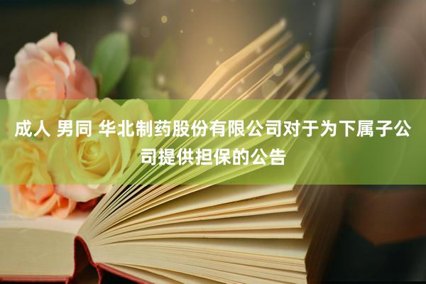 成人 男同 华北制药股份有限公司对于为下属子公司提供担保的公告