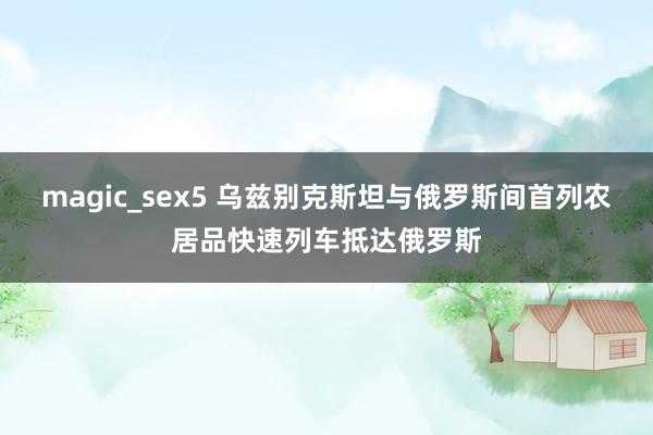 magic_sex5 乌兹别克斯坦与俄罗斯间首列农居品快速列车抵达俄罗斯