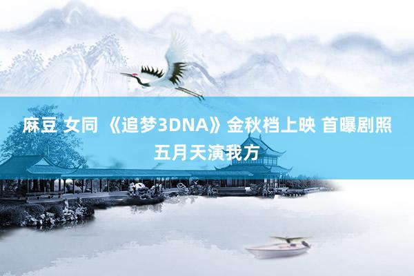 麻豆 女同 《追梦3DNA》金秋档上映 首曝剧照五月天演我方