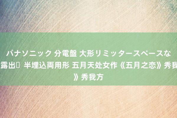 パナソニック 分電盤 大形リミッタースペースなし 露出・半埋込両用形 五月天处女作《五月之恋》秀我方