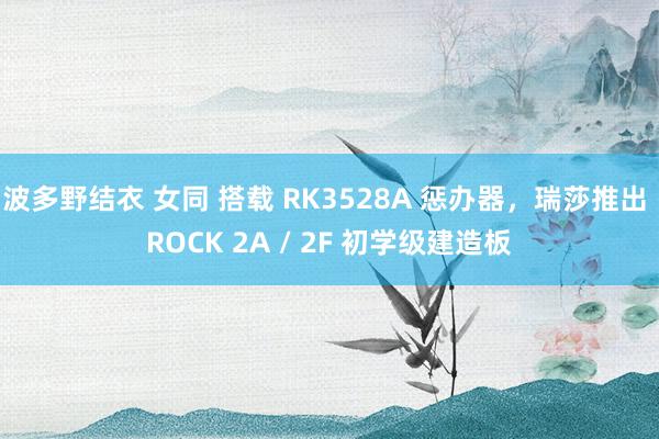 波多野结衣 女同 搭载 RK3528A 惩办器，瑞莎推出 ROCK 2A / 2F 初学级建造板