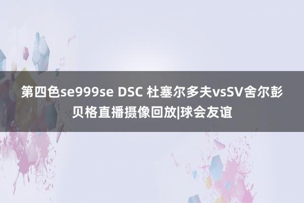 第四色se999se DSC 杜塞尔多夫vsSV舍尔彭贝格直播摄像回放|球会友谊