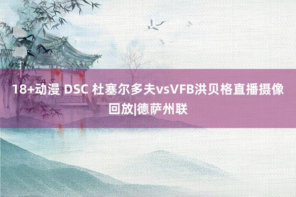 18+动漫 DSC 杜塞尔多夫vsVFB洪贝格直播摄像回放|德萨州联